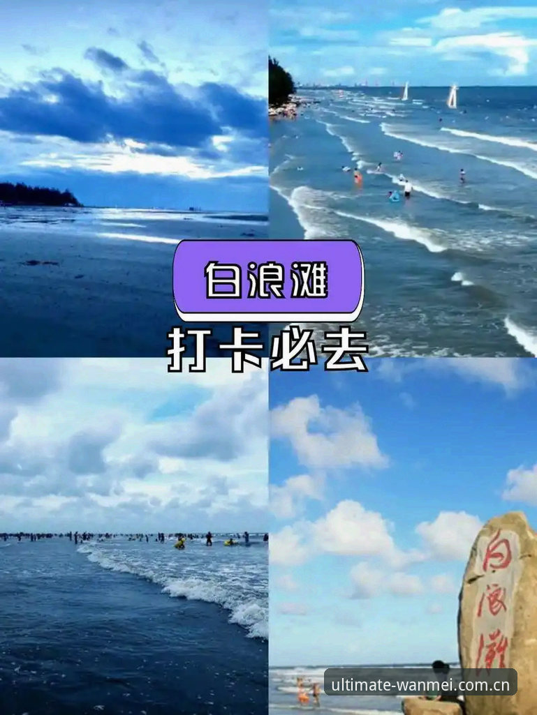 完美体育最新版本最新版详解：A7B3版本升级体验与功能全解析